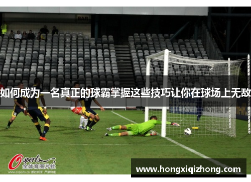 如何成为一名真正的球霸掌握这些技巧让你在球场上无敌