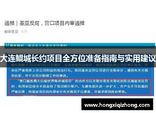 大连鲲城长约项目全方位准备指南与实用建议