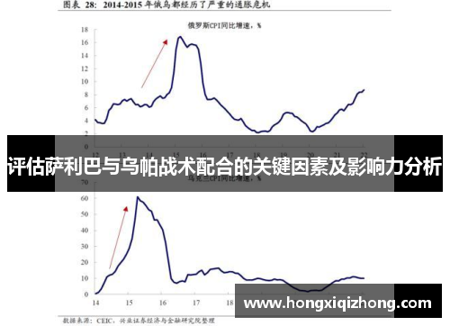 评估萨利巴与乌帕战术配合的关键因素及影响力分析